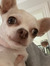 Amalie