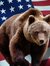 A Bear ...