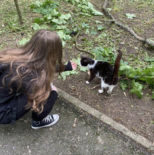 rebe&#x1faf6;&#x1fa77;