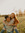 member photo member photo