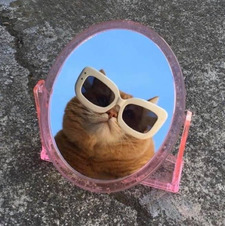 thelittlereaderthatcould