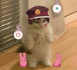 Melody