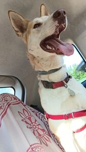 Marc
