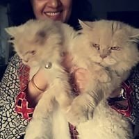Hamna Zahid