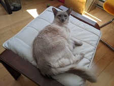 Jean-François Gariépy