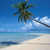 محمد الخولى