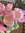 Melnao1 | 3 comments