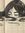 Venous