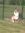 Louane