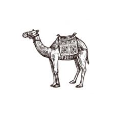 bbcamel