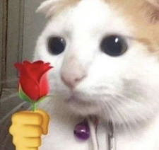 izi