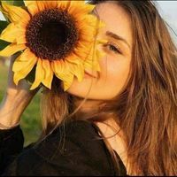 فراشة المحبة