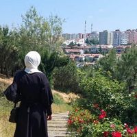 Yaman Allaw