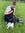 Amanda Hickey