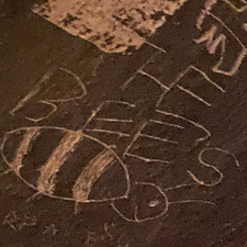 Bee Cardinal Tremblay