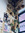 Soph | 1 comments