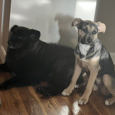 Heather Cunningham Tierney