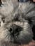 Mags!!!