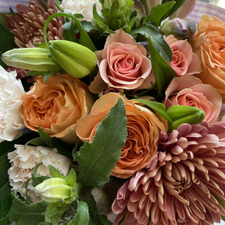 Olivia Brettschneider