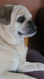 Gabby
