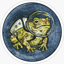 spacefrog