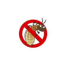 Diệt mối  Anh Tuấn