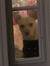 Maddie