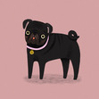 Phoebe