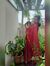 Jeevitha G