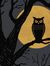 QueerNightOwl