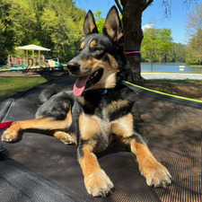 Peter Brennan, Ph.D.