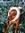 Pixel