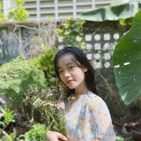 Thy Bảo