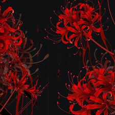 ديمة آل زبيد 