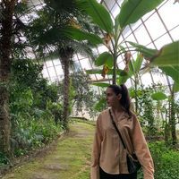 მარიამ მთიულიშვილი