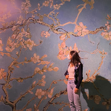 sarifa ⋆ ˚｡⋆୨୧˚