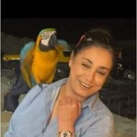 شيماءطارق غريب