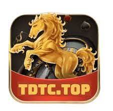 TDTC - THIÊN ĐƯỜNG TRÒ CHƠI ĐỔI THƯỞNG TDTC TOP