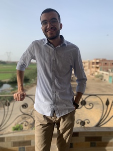 محمد ربيع