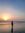 Ashna H...
