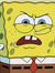 Stephen...