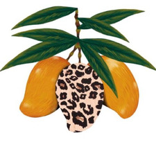 Tara | Mangoes and Mayhem