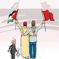 أمينة عفاني