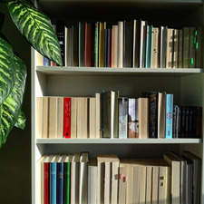 sometimesijustreadit