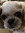 Tabitha