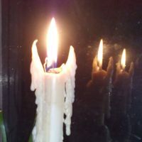 Олена Олійник