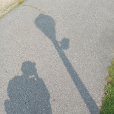 jasmine *°:⋆ₓₒ