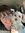 Amy Benson