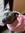 LadyT0918