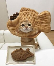 abbs ⋆ ˚｡⋆୨♡୧⋆ ˚｡⋆